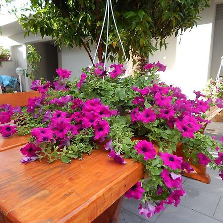 זאדאר Apartments & Rooms Marinka מראה חיצוני תמונה
