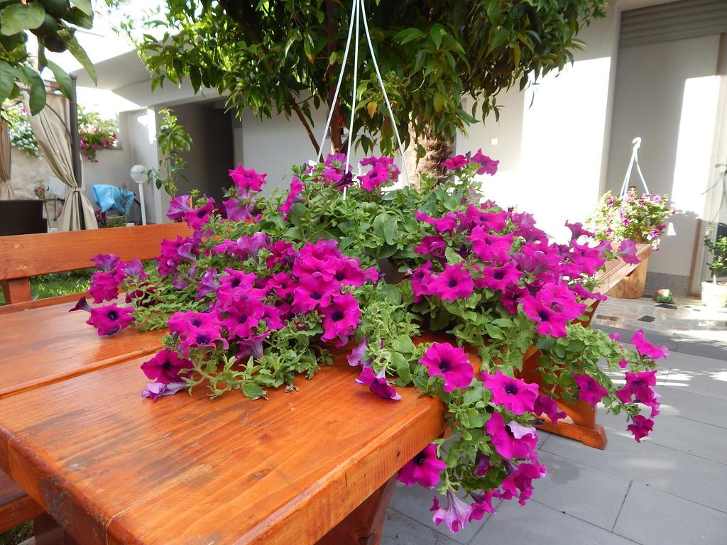 זאדאר Apartments & Rooms Marinka מראה חיצוני תמונה