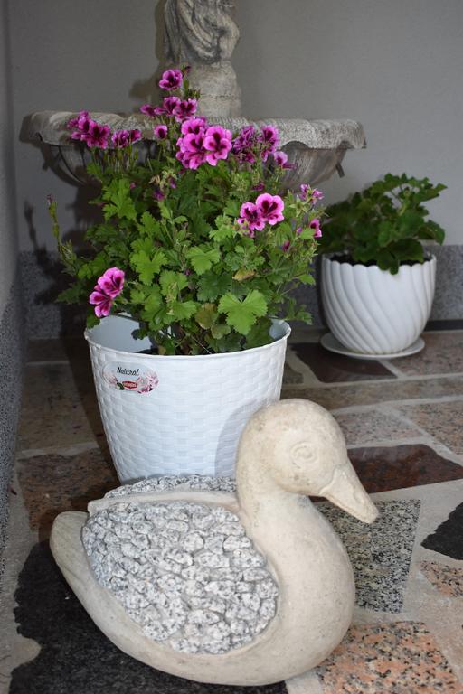זאדאר Apartments & Rooms Marinka מראה חיצוני תמונה